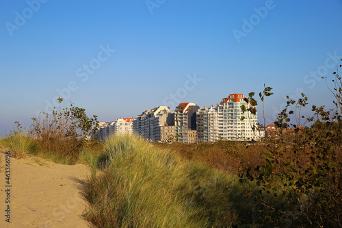 View over sand dunes with grass on coast town against clear blue summer sky - Knokke-Heist, Belgium