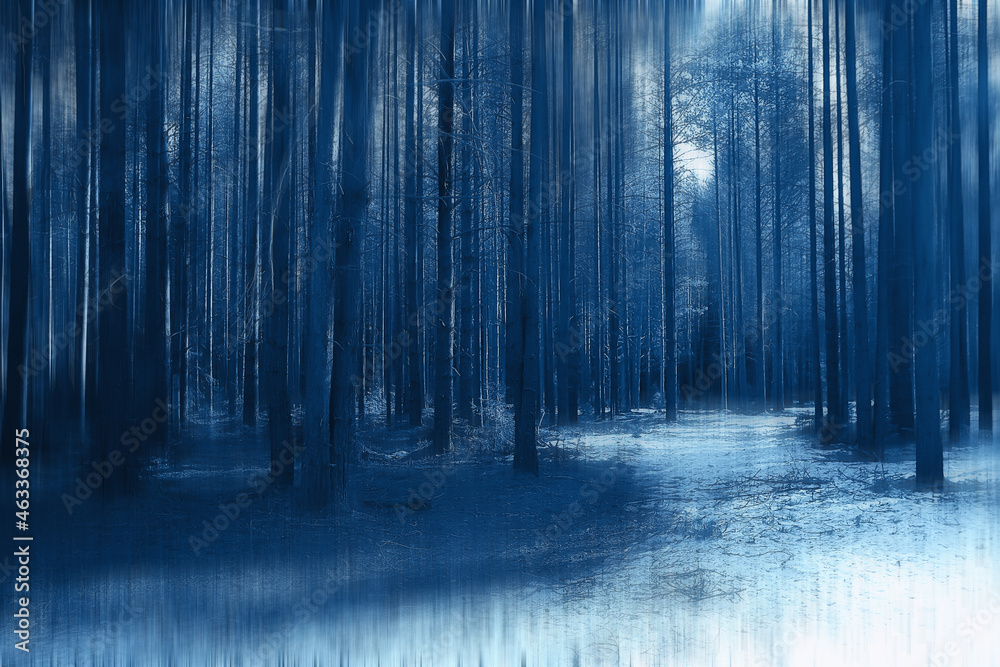 Obraz premium forest spring blurred background blue, abstract view in park nature seasonal