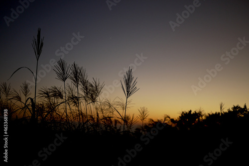 sunset in jeju island