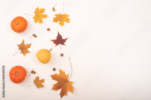 Autumn flat lay. Maple leaves, pumpkins and acorns on a white background. Copy space