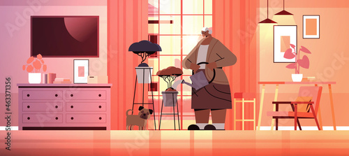 elderly woman watering flowers from watering can senior housewife taking care of house plants living room interior