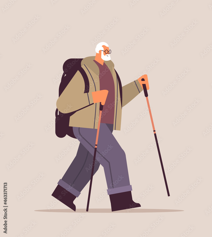 senior man hiker traveling with backpack and sticks for walk nordic walking active old age concept senior man hiker traveling with backpack and sticks for walk nordic walking active old age concept