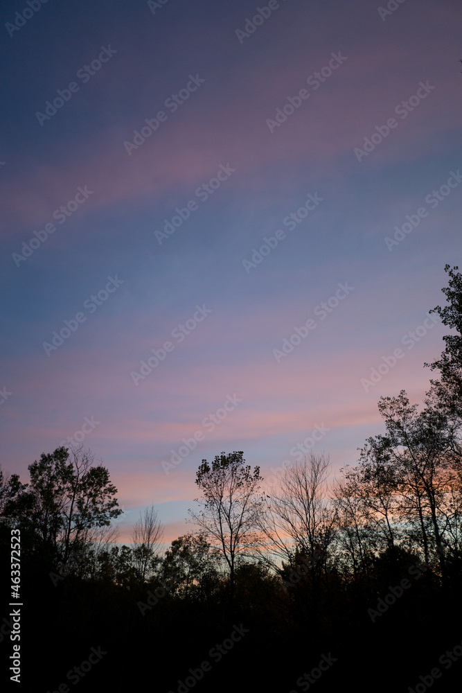 Fototapeta premium Sunrise with silhouetted trees in fall