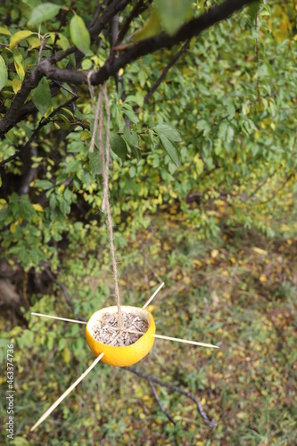Natural bird feeder full of sunflower seeds is hanging on a tree.