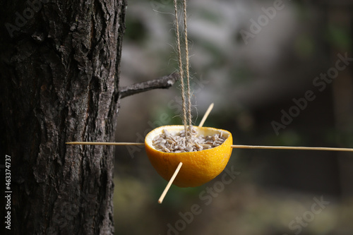 Natural bird feeder full of sunflower seeds is hanging on a tree.