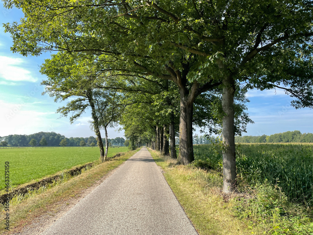 Asphalt road around Beltrum