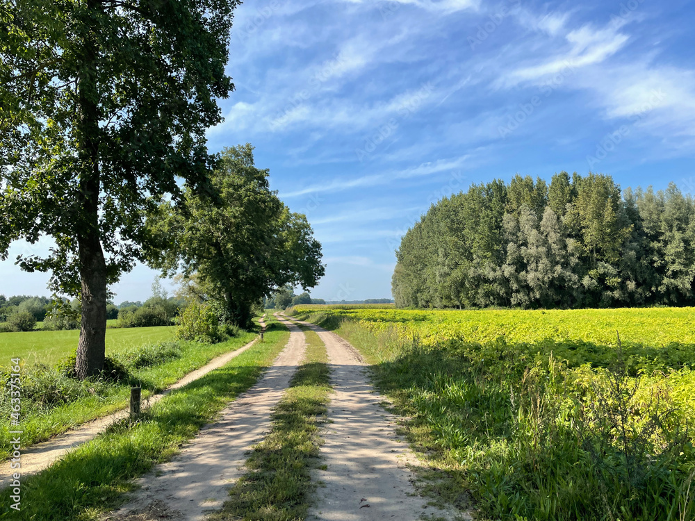 Obraz premium Gravel path around Gelselaar