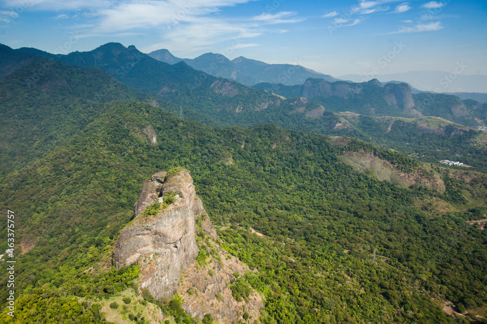 Aerial view of green forest. High quality photo