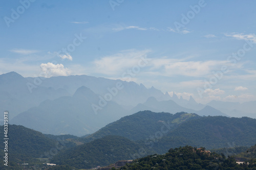 Aerial view of green forest. High quality photo