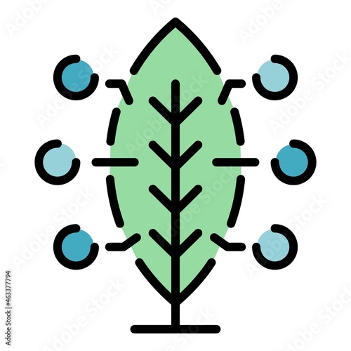 Leaf smart analize icon. Outline leaf smart analize vector icon color flat isolated photo