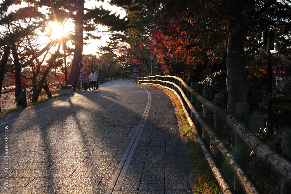 Naklejka premium 紅葉と夕日の道