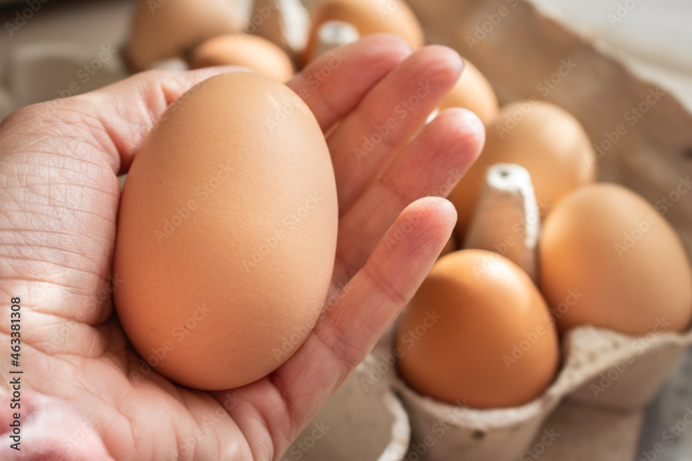 Giant chicken egg in hand. Big size of brown egg. Fresh yellow eggs in sunlight. Healthy organic food. Raw brown eggs in container. Farm product concept. Domestic eggs in a row. Breakfast concept. Giant chicken egg in hand. Big size of brown egg. Fresh yellow eggs in sunlight. Healthy organic food. Raw brown eggs in container. Farm product concept. Domestic eggs in a row. Breakfast concept.