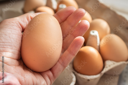 Giant chicken egg in hand. Big size of brown egg. Fresh yellow eggs in sunlight. Healthy organic food. Raw brown eggs in container. Farm product concept. Domestic eggs in a row. Breakfast concept.