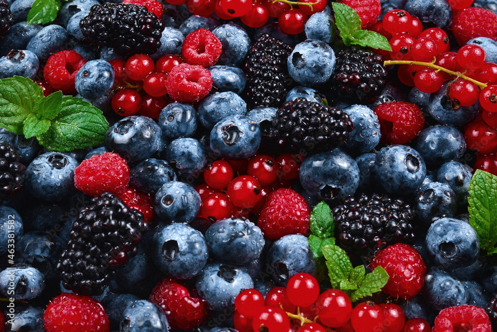 Blackberry, raspberry, blueberry, red currant and mint background. Blackberry, raspberry, blueberry, red currant and mint background.