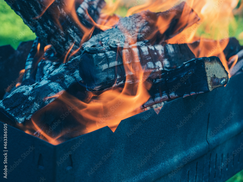Close-up of burning logs of firewood in the grill. Background of a burning tree