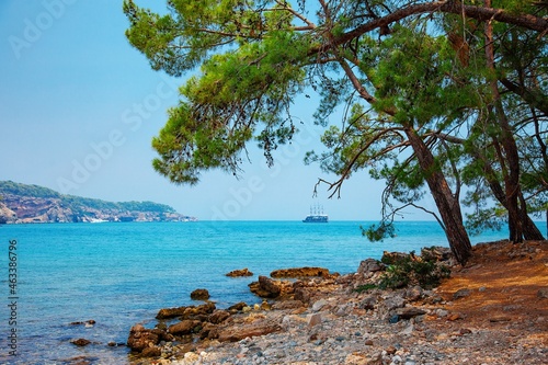 Phaselis sea and pine trees relax lanscape
