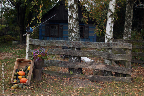 Fototapeta Naklejka Na Ścianę i Meble -  dynie, jesień, dekoracja, ozdoba, stary płot, skrzynka 