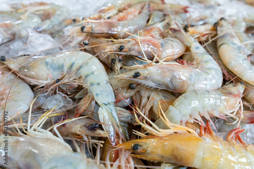 Fresh chilled seafood sold at the market. Fresh prawns. 