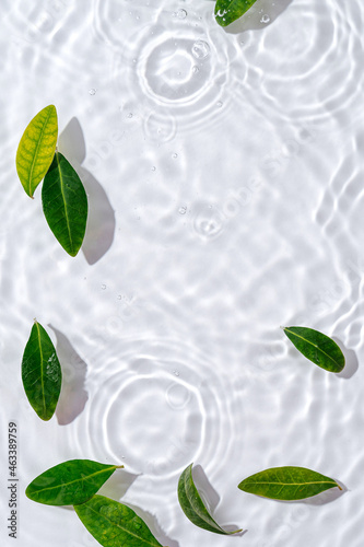 Water ripple with green leaves. Trendy white background for cosmetic product presentation. Artistic concept. Copy space © igishevamaria