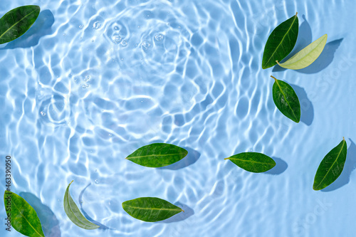 Green leaves on water surface. Beautiful water ripple background for product presentation. Copy space