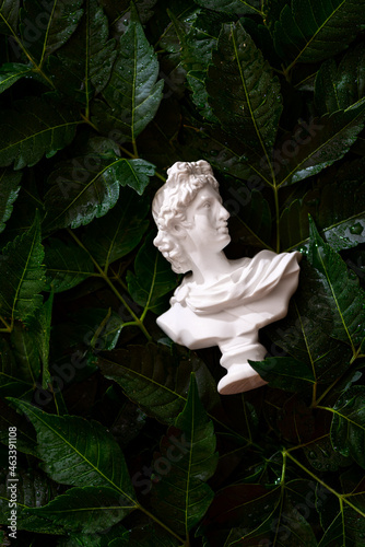 Head statue on a background of green leaves
