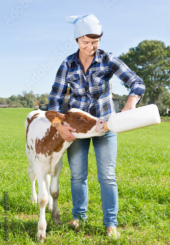 woman feeds two week old calf from bottle with dummy at lawn