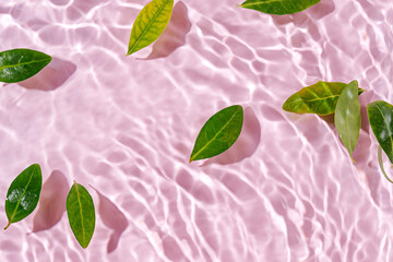 Water ripple with green leaves. Trendy pink background for cosmetic product presentation. Artistic concept. Copy space