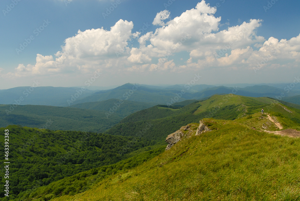 Naklejka premium Green mountain hills, Bieszczady Mountains, Poland