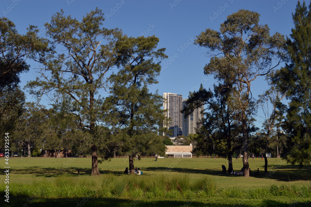 A view in Parramatta Park, Sydney