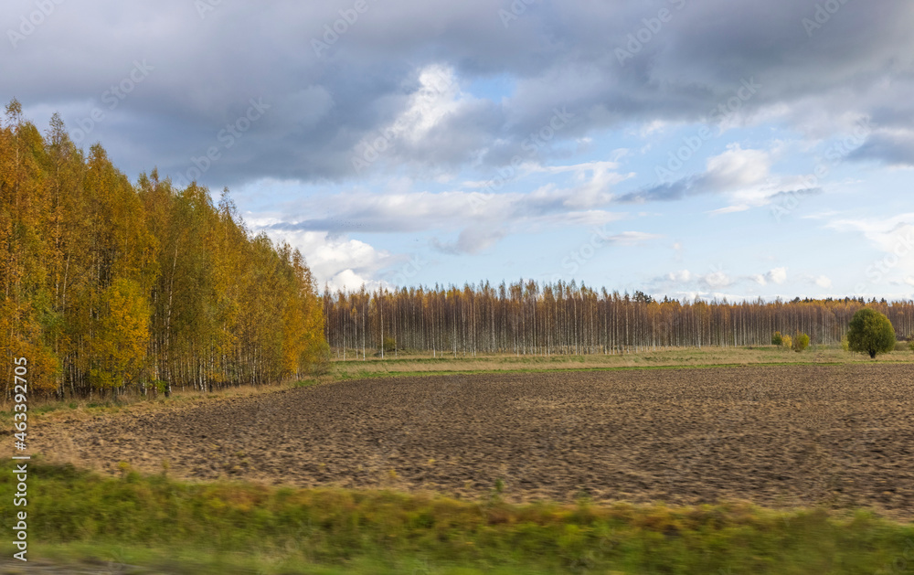 Beautiful autumn day and the view from the car. Gorgeous landscape with fields, forest trees and blue sky with white clouds. Sweden.