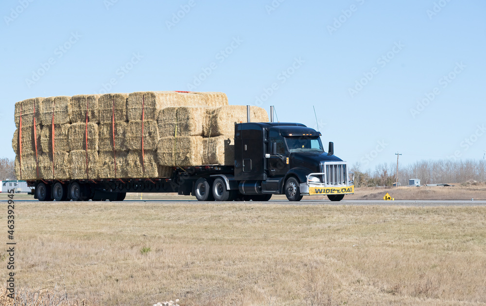 Heavy Cargo on the Road. A truck hauling freight along a hoghway