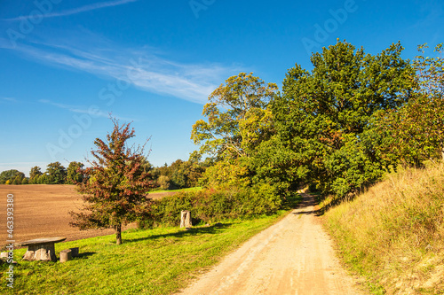 Landschaft mit Weg und Bäumen bei Hohen Demzin