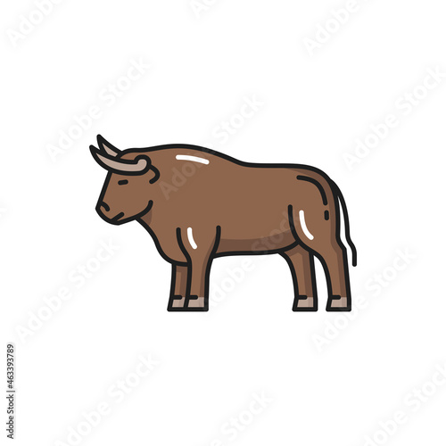 Cow bull buffalo farm cow ox  taurus sign isolated flat cartoon icon. Vector traditional Spain and portugal animal  bullfight contests ox. Farm cow or buffalo  beef with horns. Taurus horoscope sign