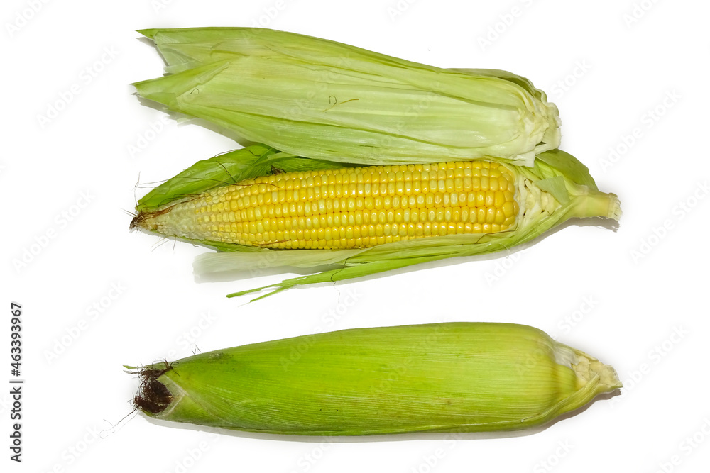 Fresh corn on cob isolated on white background. Fresh corn on cob isolated on white background.