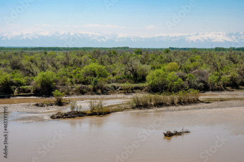 Natural river and green vegetation