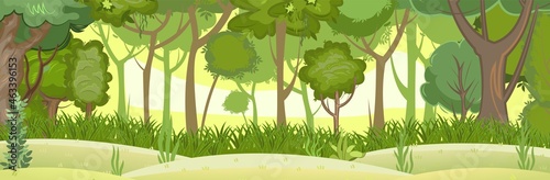 Summer forest landscape. Light foggy thickets. Dense foliage. Green trees view. Cartoon flat style. Hills meadow at the edge. Nature illustration. Vector