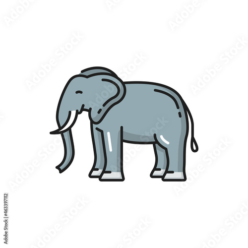 Thailand animal white elephant isolated color line icon. Vector african bush forest Asian Elephantidae, Thai fauna symbol, big endangered mammal. Safari african elephant with trunk and two tusks © Vector Tradition