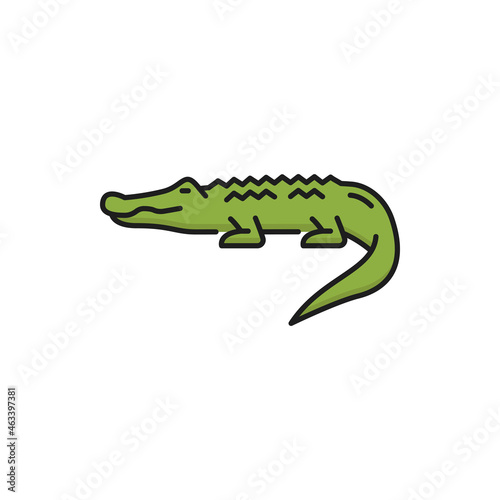 Thailand alligator isolated wild crocodile color line icon. Vector Thai green crocodile, scary carnivore crocodylus reptile. Mississippiensis predator animal, symbol of Thailand, dangerous creature