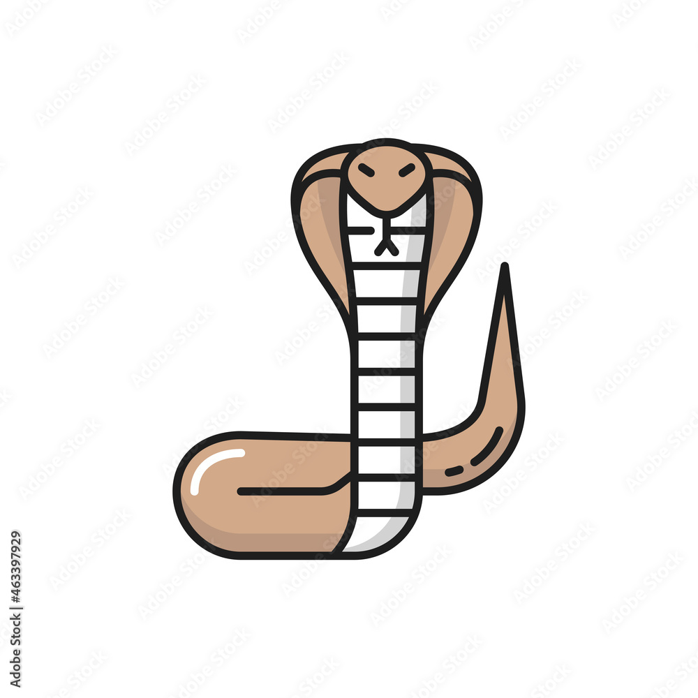 Fototapeta premium Thailand king cobra viper snake isolated color line icon. Vector poisonous crawling invertebrate carling animal, color Viper snake or rattlesnake from Thai. Naga mamba cobra, serpent with tongue