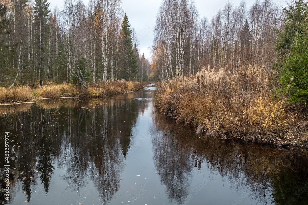 Taiga. River. Autumn. Reflection of trees in the river. Northern river. Northern nature. Taiga. River. Autumn. Reflection of trees in the river. Northern river. Northern nature.