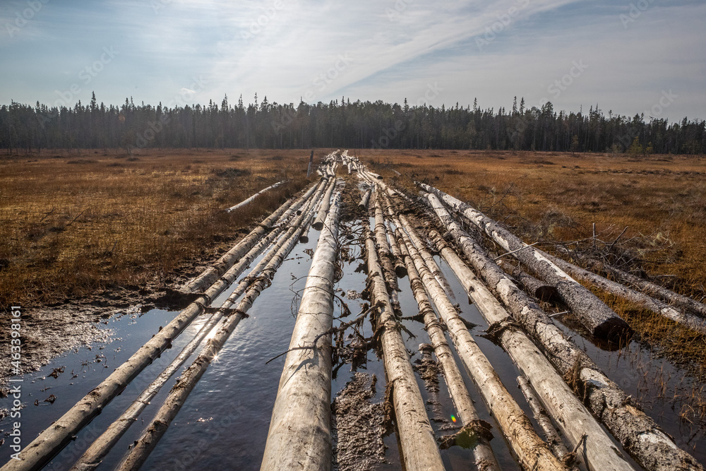 Russian road. Forest road for an all-terrain vehicle. The road through the swamp. Сauseway is a wooden road through a swamp.