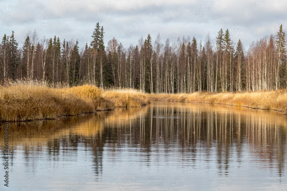 Obraz premium Taiga. River. Autumn. Reflection of trees in the river. Northern river. Northern nature.