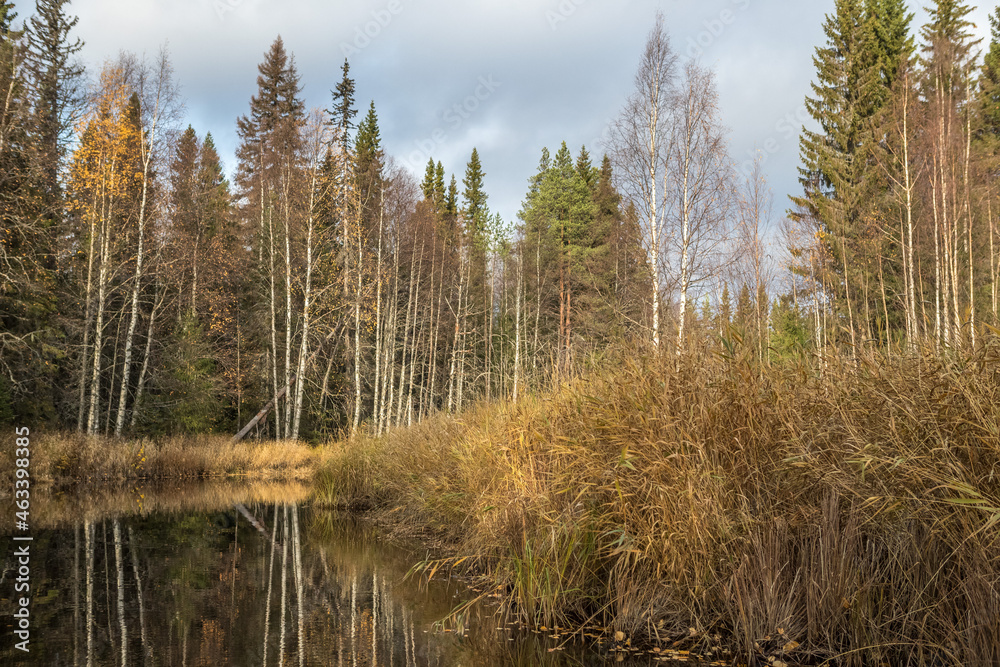 Taiga. River. Autumn. Reflection of trees in the river. Northern river. Northern nature. Taiga. River. Autumn. Reflection of trees in the river. Northern river. Northern nature.