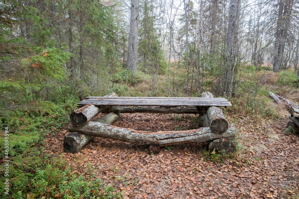 The old camp of tourists in the forest. Old wooden table and bench. Russian forest. The old camp of tourists in the forest. Old wooden table and bench. Russian forest.
