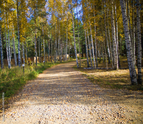 path in autumn park