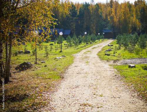 road in the cottage village in autumn,