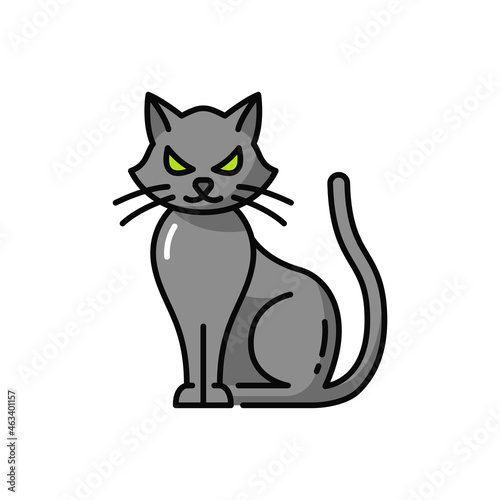 Halloween pet witch black cat isolate outline icon. Vector witch pet, scary starring kitty with long tail, creepy magic pussycat, grey kitten portrait. Meow vampire, mysterious mammal kitten feline