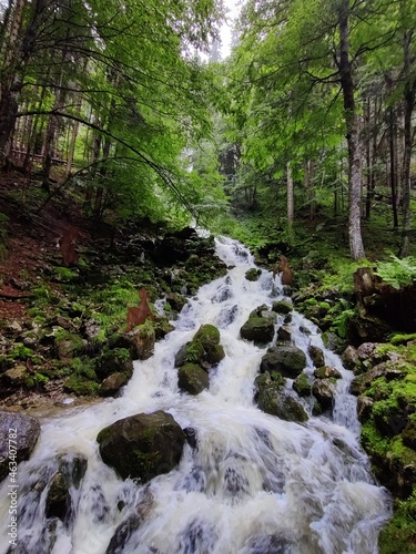 Wasserfall im Wald