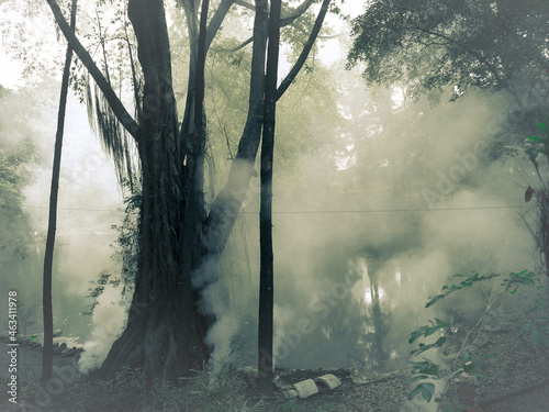 Morning mist in Telaga Remis lake