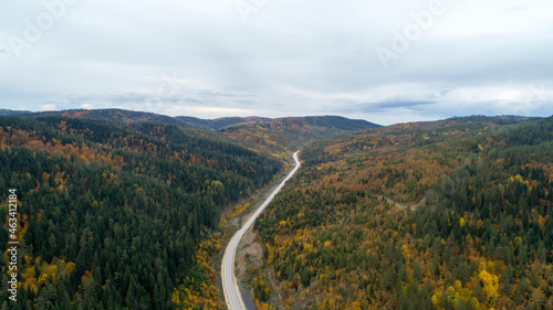 Aerial view of mountain road in beautiful forest at sunset in autumn. Top view from drone of winding road in woods. 
